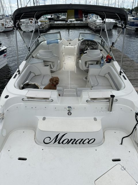 2007 Stingray 220DR Bowrider