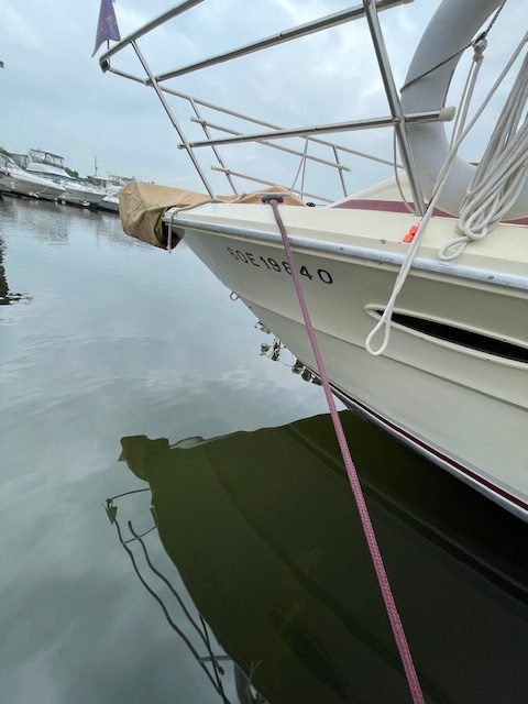 1983 Sea Ray 340 Sedan Bridge